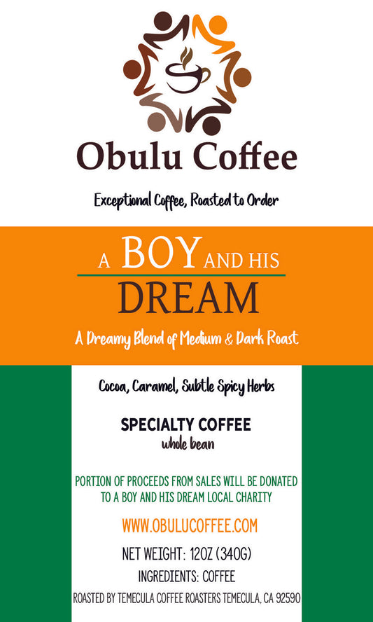 A Boy and His Dream